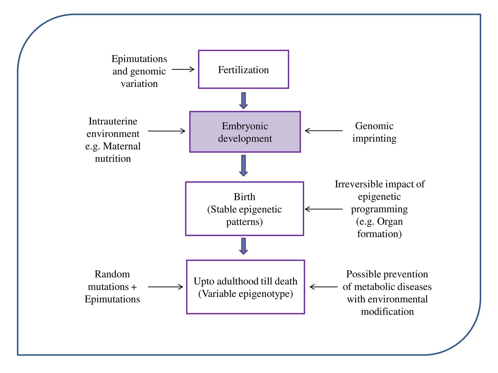 Genetics